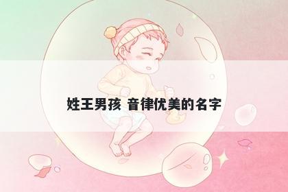 姓王男孩 音律优美的名字