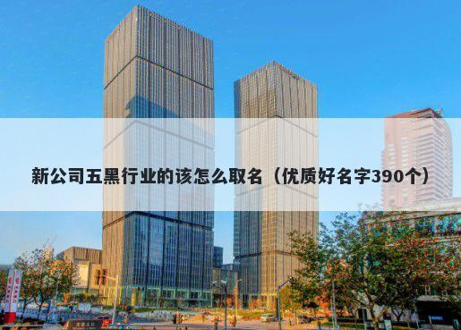 新公司五黑行业的该怎么取名（优质好名字390个）