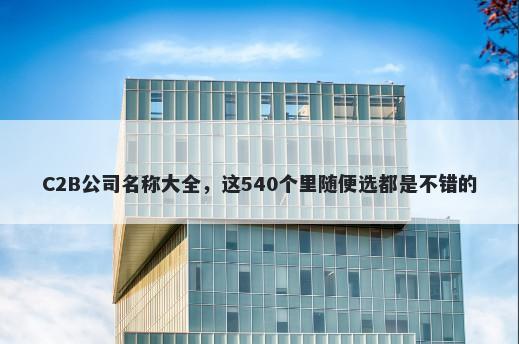C2B公司名称大全，这540个里随便选都是不错的