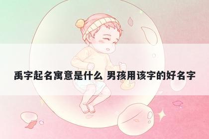 禹字起名寓意是什么 男孩用该字...