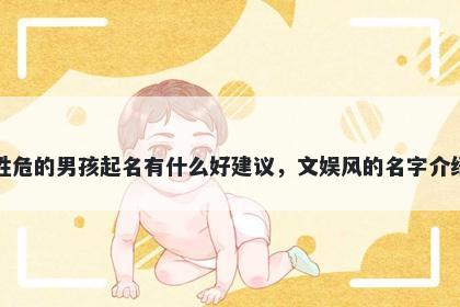 姓危的男孩起名有什么好建议，文娱风的名字介绍