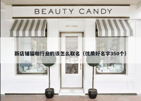 新店铺猫咖行业的该怎么取名（优质好名字350个）
