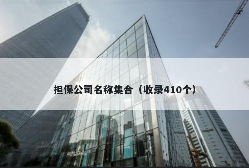 担保公司名称集合(收录410个)