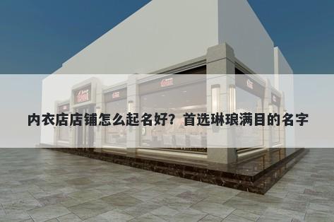 内衣店店铺怎么起名好？首选琳琅满目的名字