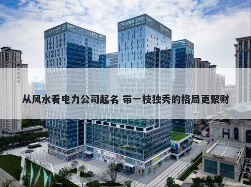 从风水看电力公司起名 带一枝独秀的格局更聚财