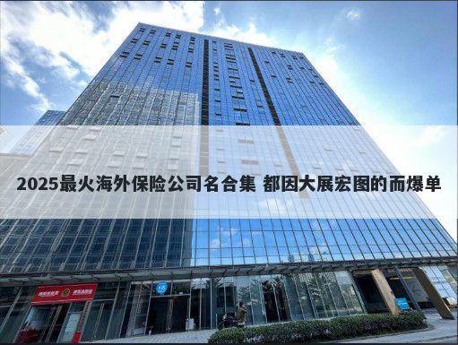 2025最火海外保险公司名合集 都因大展宏图的而爆单