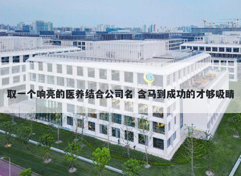 取一个响亮的医养结合公司名 含马到成功的才够吸睛