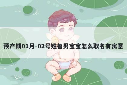 预产期01月-02号姓鲁男宝宝怎么取名有寓意