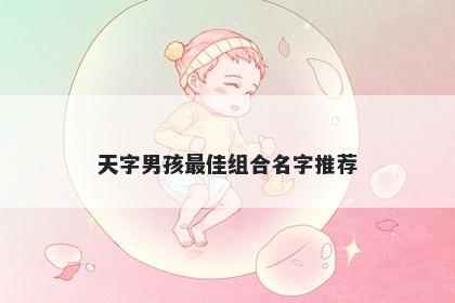 天字男孩最佳组合名字推荐
