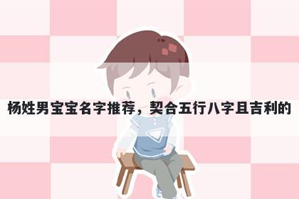 杨姓男宝宝名字推荐，契合五行八字且吉利的