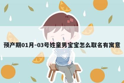 预产期01月-03号姓童男宝宝怎么取名有寓意