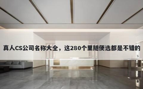 真人CS公司名称大全，这280个里...