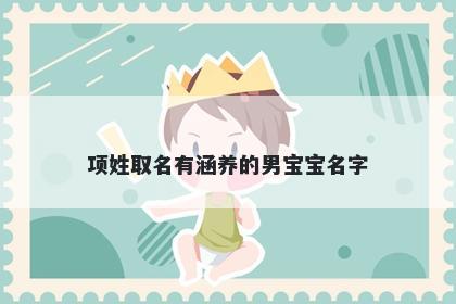 项姓取名有涵养的男宝宝名字