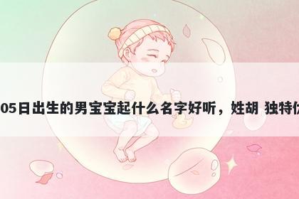 2026年-01月-05日出生的男宝宝起什么名字好听,姓胡 独特优美的名字推荐