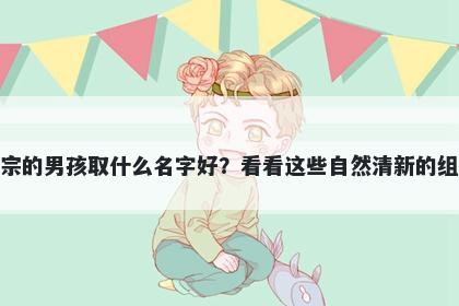 姓宗的男孩取什么名字好？看看...