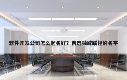 软件开发公司怎么起名好？首选独辟蹊径的名字