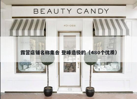 露营店铺名称集合 登峰造极的（480个优质）