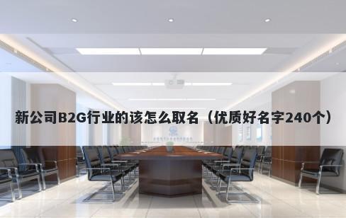 新公司B2G行业的该怎么取名（优质好名字240个）