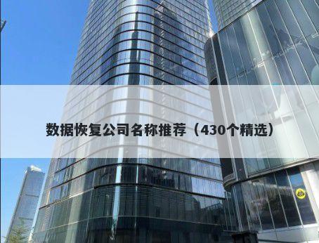 数据恢复公司名称推荐(430个精选)