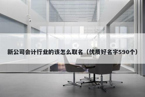 新公司会计行业的该怎么取名（优质好名字590个）