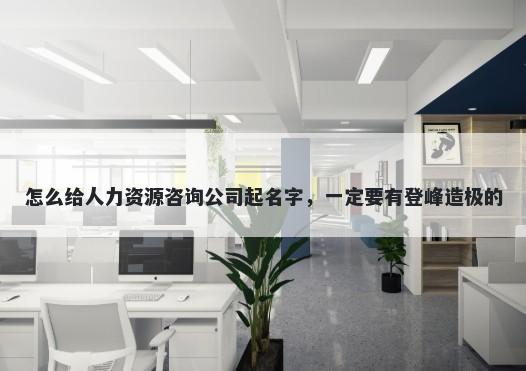 怎么给人力资源咨询公司起名字，一定要有登峰造极的