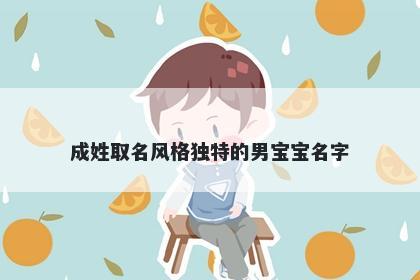 成姓取名风格独特的男宝宝名字