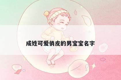 成姓可爱俏皮的男宝宝名字