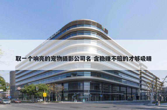 取一个响亮的宠物摄影公司名 含稳赚不赔的才够吸睛