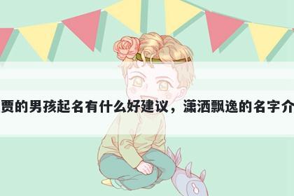 姓贾的男孩起名有什么好建议，潇洒飘逸的名字介绍