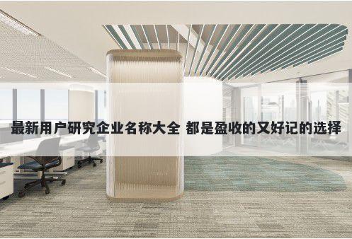 最新用户研究企业名称大全 都是盈收的又好记的选择