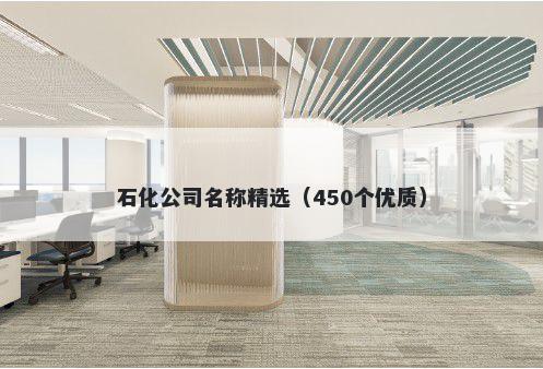 石化公司名称精选（450个优质）