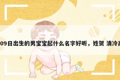 2026年-01月-09日出生的男宝宝起什么名字好听,姓贺 清冷高级的名字推荐