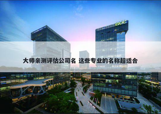 大师亲测评估公司名 这些专业的名称超适合