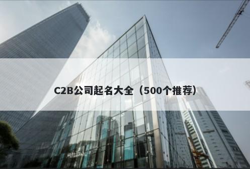 C2B公司起名大全（500个推荐）