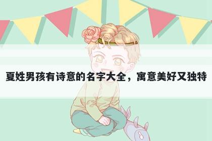 夏姓男孩有诗意的名字大全，寓...
