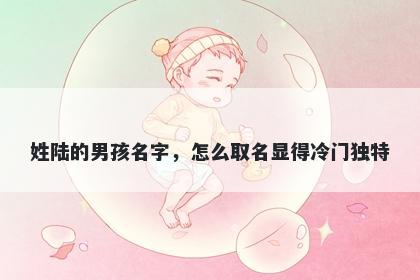姓陆的男孩名字，怎么取名显得冷门独特