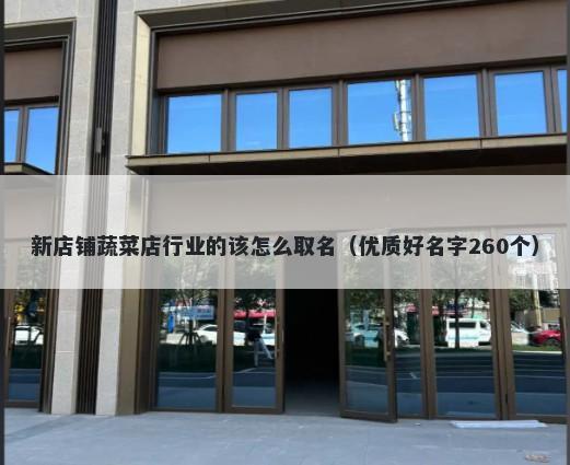 新店铺蔬菜店行业的该怎么取名（优质好名字260个）