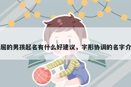 姓屈的男孩起名有什么好建议，字形协调的名字介绍