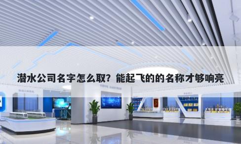 潜水公司名字怎么取？能起飞的的名称才够响亮