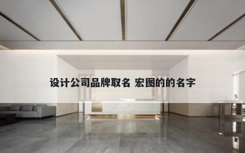 设计公司品牌取名 宏图的的名字