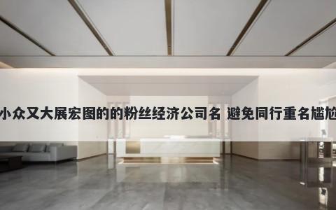 小众又大展宏图的的粉丝经济公司名 避免同行重名尴尬