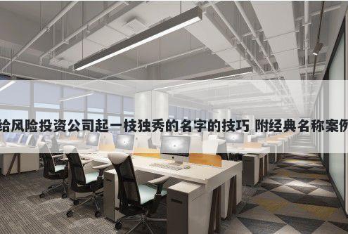 给风险投资公司起一枝独秀的名字的技巧 附经典名称案例