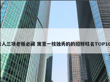 铁人三项老板必藏 寓意一枝独秀的的招财旺名TOP100