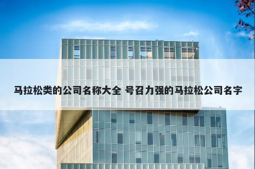 马拉松类的公司名称大全 号召力强的马拉松公司名字