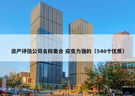 资产评估公司名称集合 应变力强的（540个优质）