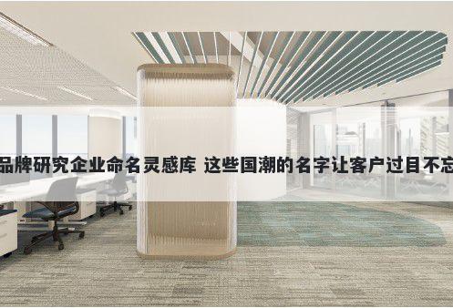 品牌研究企业命名灵感库 这些国潮的名字让客户过目不忘