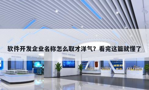 软件开发企业名称怎么取才洋气？看完这篇就懂了