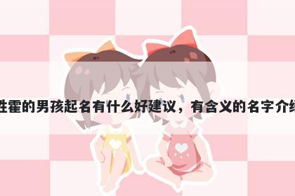 姓霍的男孩起名有什么好建议，有含义的名字介绍