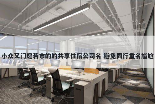 小众又门庭若市的的共享住宿公司名 避免同行重名尴尬