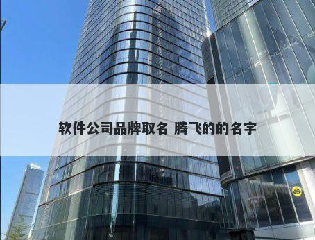 软件公司品牌取名 腾飞的的名字